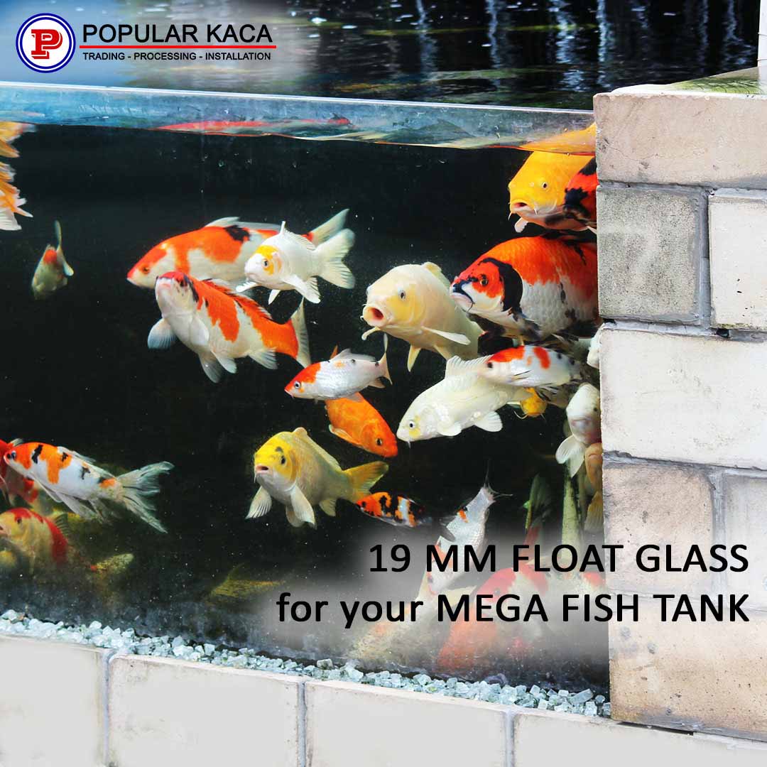 megafishtank